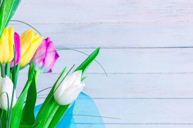 Parlak beyaz arka plan üzerinde çeşitli laleler