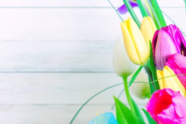 Parlak beyaz arka plan üzerinde çeşitli laleler