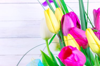 Parlak beyaz arka plan üzerinde çeşitli laleler