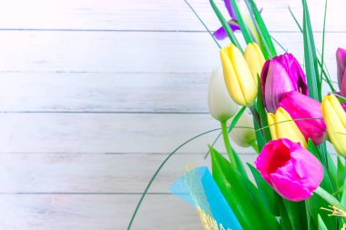 Parlak beyaz arka plan üzerinde çeşitli laleler