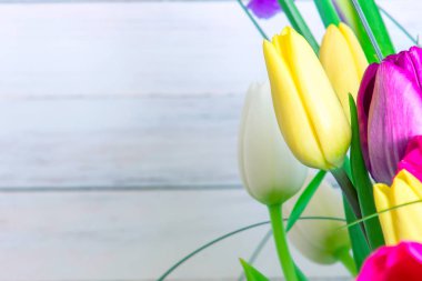 Parlak beyaz arka plan üzerinde çeşitli laleler