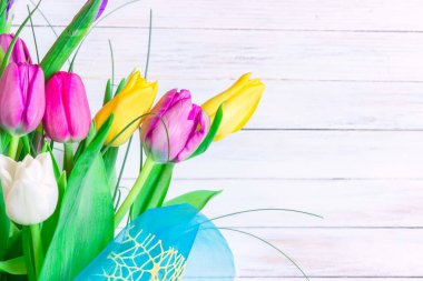 Parlak beyaz arka plan üzerinde çeşitli laleler