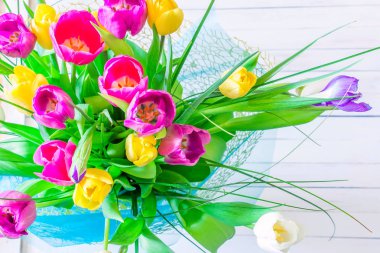 Parlak beyaz arka plan üzerinde çeşitli laleler