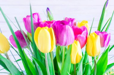 Parlak beyaz arka plan üzerinde çeşitli laleler