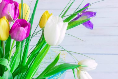 Parlak beyaz arka plan üzerinde çeşitli laleler