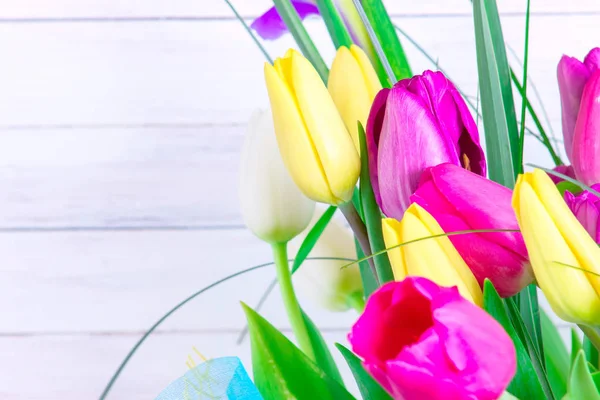 Parlak beyaz arka plan üzerinde çeşitli laleler