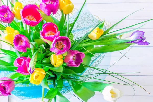 Parlak beyaz arka plan üzerinde çeşitli laleler