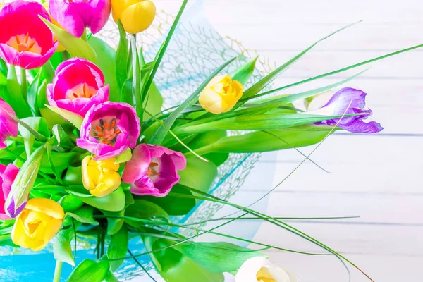 Parlak beyaz arka plan üzerinde çeşitli laleler