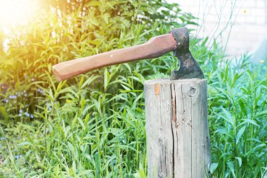 Ağaçta sıkışmış eski balta