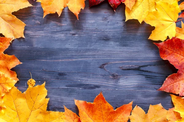 Autumn Thanksgiving Background. Place for text. — Stock Photo, Image