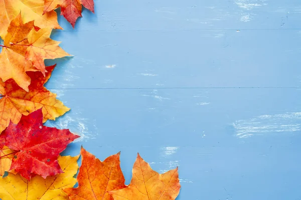 Sonbahar Şükran arka plan. Metin için yer.