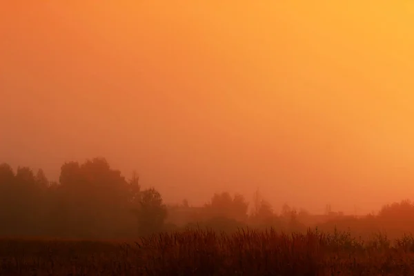 Magischer Sonnenaufgang mit Baum — Stockfoto