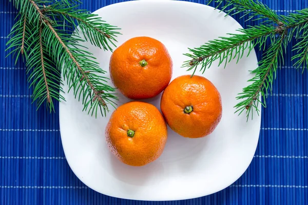 Tangerines sur une assiette blanche avec des branches d'épinette et fond bleu. Vue du dessus — Photo