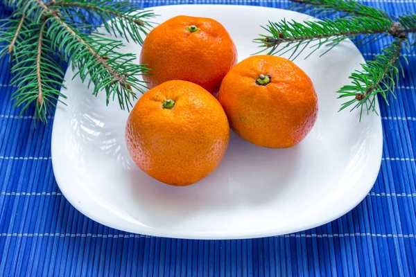 Tangerines sur une assiette blanche avec des branches d'épinette et fond bleu. Vue du dessus — Photo