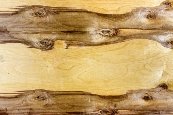 Uma folha de madeira compensada com um padrão de madeira interessante — Fotografia de Stock