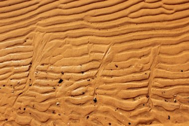 Nehir kumu. Yakın çekim. Kum doku.