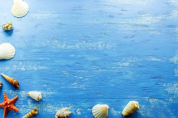 Summer background with sea shells and red star on blue wooden planks. Copy space. Marine theme