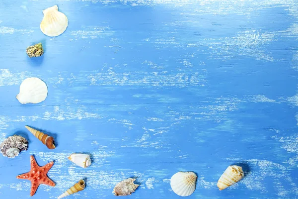 Summer background with sea shells and red star on blue wooden planks. Copy space. Marine theme
