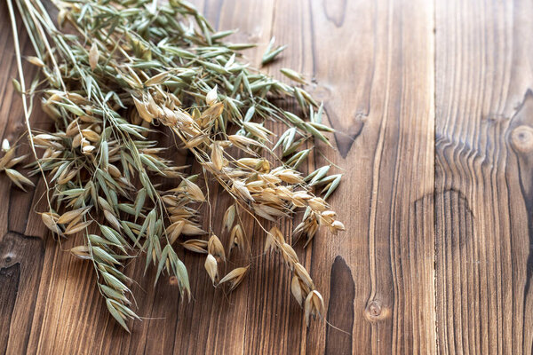 Oat ears on wooden table, top view.