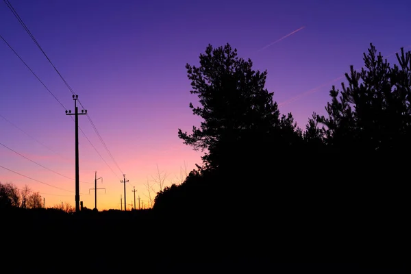 Ciel rouge et silhouette de pin au lever du soleil en Russie . — Photo
