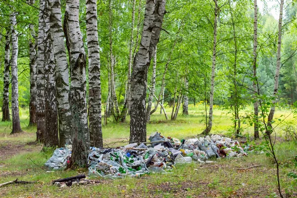 Basura en el bosque. Contaminación ambiental. La gente tira ilegalmente basura al bosque. Concepto: sobre el hombre y la naturaleza . — Foto de Stock