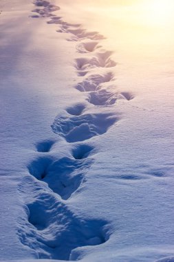 Kışın karda bir adamın ayak izleri..