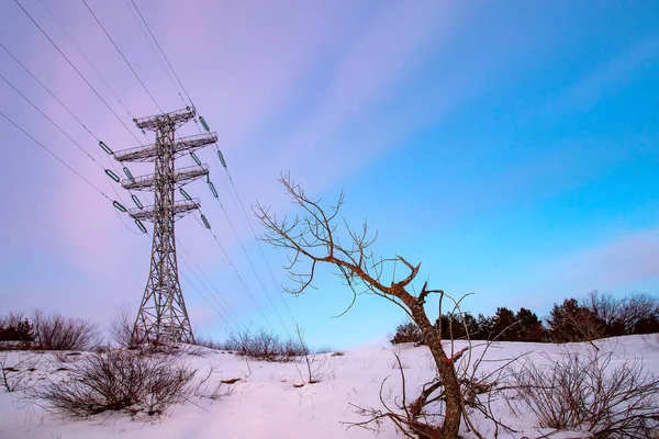 Hochspannungsmasten Und Hochspannungsleitungen Vor Blauem Himmel Bei Sonnenuntergang — Stockfoto