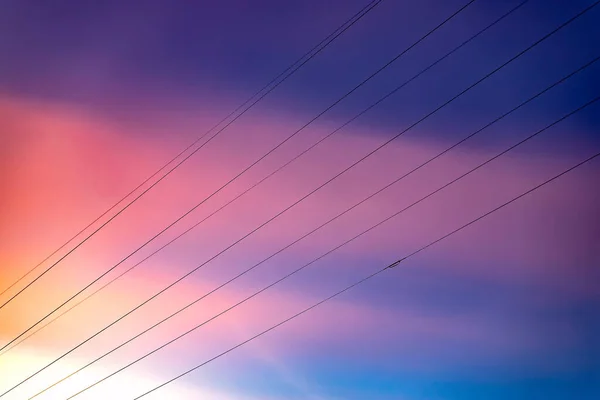 夕暮れ時のピンクの青空 空に対する線 — ストック写真