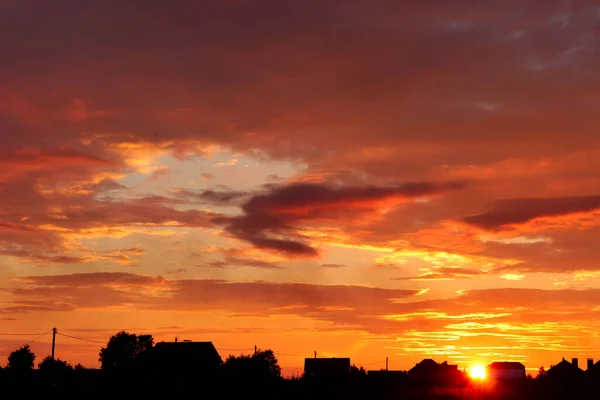 Sommersonnenuntergang Einem Feld Mit Ähren Und Schönem Himmel — Stockfoto