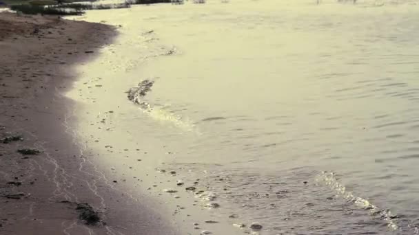 Aallot roiskuvat joen hiekkarannalle lähistöllä . — kuvapankkivideo