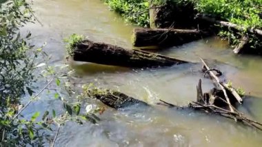 Yazın gün batımında nehir. Güneşin doğuşu manzarası, güneş ışığı altında su. Altın su yüzeyi gün batımında, arka plan.
