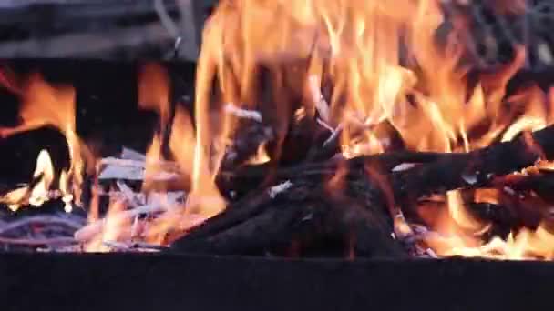 Sıcak Şenlik Ateşi Kömüründen Parlayan Alevin Yakın Görüntüsü — Stok video