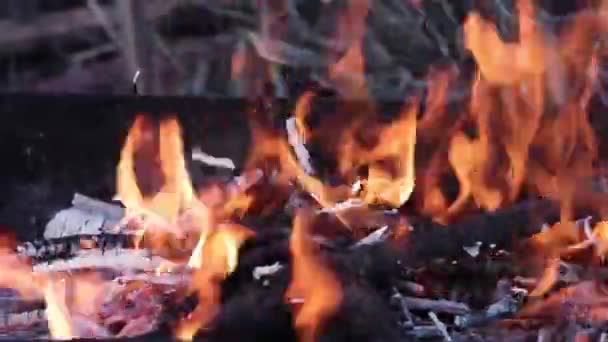 Vue Rapprochée Flamme Feu Volant Lumineux Charbon Bois Feu Chaud — Video