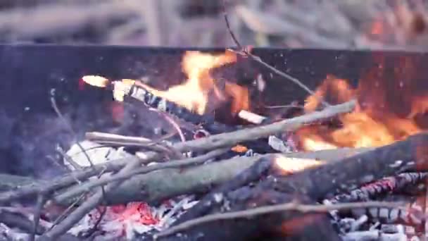 Vue Rapprochée Flamme Feu Volant Lumineux Charbon Bois Feu Chaud — Video