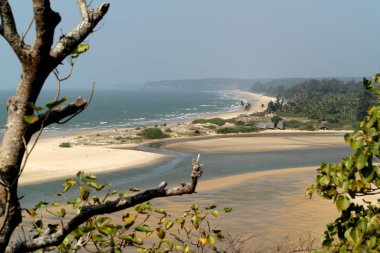 Okyanusun içine akan nehrin ağzı  