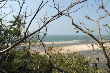 Okyanusun içine akan nehrin ağzı  