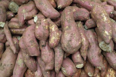 Sebze pazarında bir yam büyük yumrular Taze toplanan zengin hasat