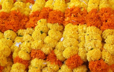 Tagtes ptula Hindu tanrılarına sunulan çeşitli sınıflar güneş çiçek 
