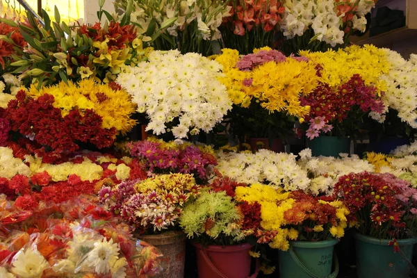 Crisantemos Multicolores Svezhesrezanny Cubos Con Agua Preparada Para Venta Mercado —  Fotos de Stock