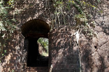 Yüzyıl ağaçları ile büyümüş Hindistan, Kocaeli devlet eski atılan kale kapısı  