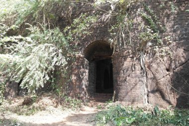 Yüzyıl ağaçları ile büyümüş Hindistan, Kocaeli devlet eski atılan kale kapısı  