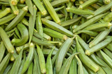 Taze toplanmış zengin hasat egzotik sebze