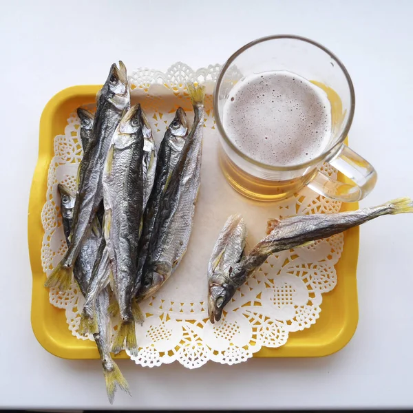 Stillleben Aus Getrocknetem Geruch Und Glas Schaumbier — Stockfoto