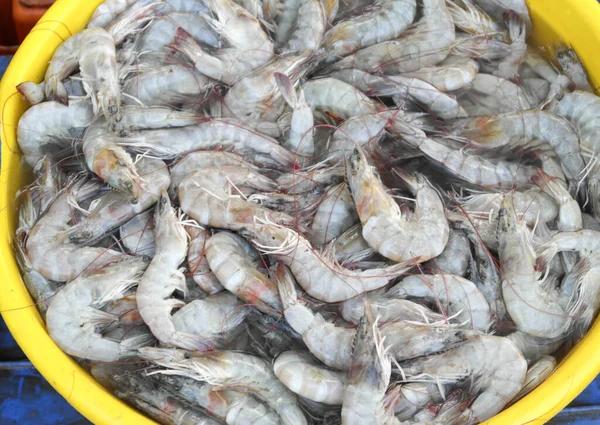 Rich Choice Fresh Seafood Asian Market — Stock Photo, Image