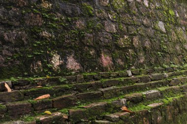 arka plan kullanım için gün zamanında eski yosunlu Duvar resmini.