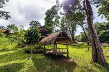 Asya vietnam kulübelerde doğa ahşap evler