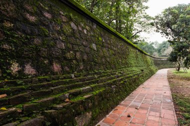 arka plan kullanım için gün zamanında eski yosunlu Duvar resmini.