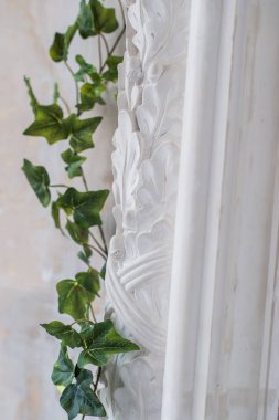 Beyaz Sanat sıva alçı duvar konservesi loach dal üstünde o ile