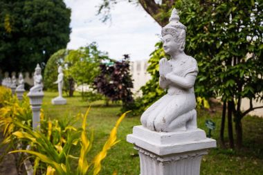 Taş orman arka planda Buda heykeli