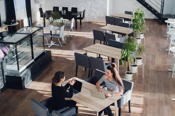 Ευτυχής επιχειρηματίας μιλάμε για επιχειρηματίας στο γραφείο. Δύο γυναίκες, κάθεται στο τραπέζι με φορητούς υπολογιστές και λειτουργεί. — Φωτογραφία Αρχείου